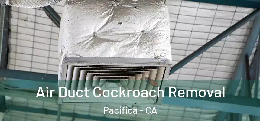  Air Duct Cockroach Removal Pacifica - CA