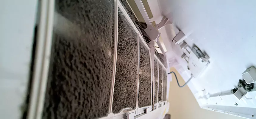 Preventive Air Duct Bacteria Removal in Pacifica