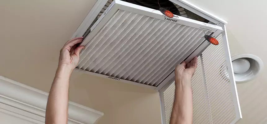 Preventive Cockroach-Proofing for Ducts in Pacifica