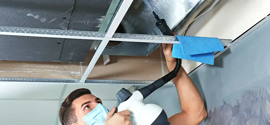 Our Air Duct Rodent Removal Services in Pacifica, CA