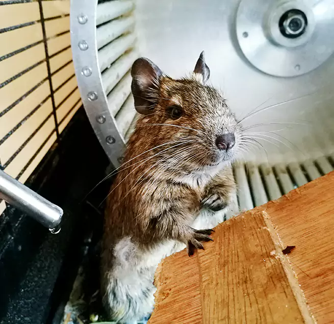 Why Homeowners & Businesses Trust Us Pacifica, CA