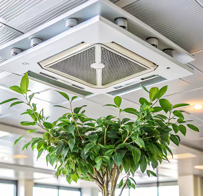 Why Homeowners & Businesses Trust Us in Pacifica, CA?