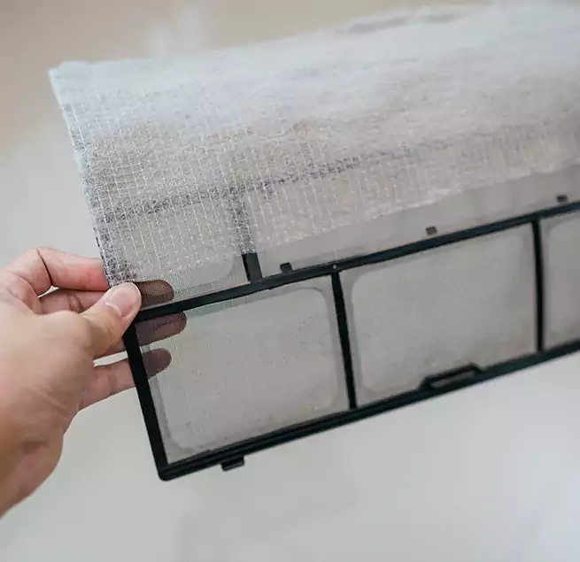 Why Homeowners & Businesses Trust Us in Pacifica, CA?