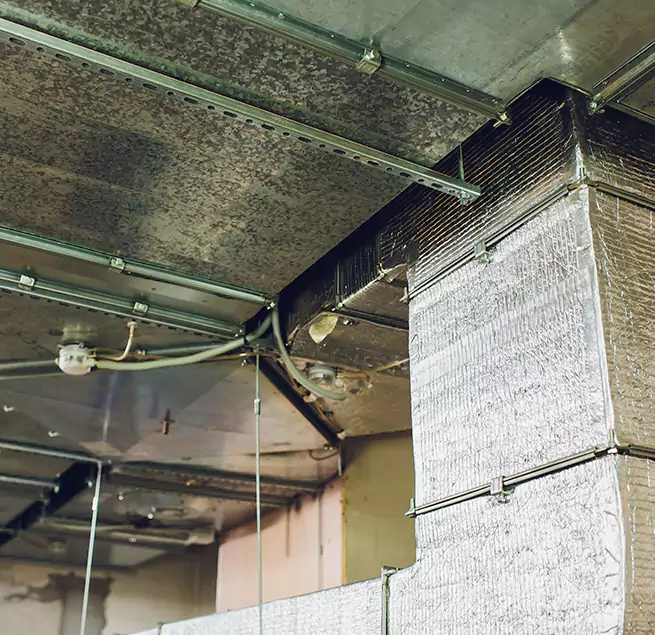 Why Homeowners & Businesses Trust Us in Pacifica, CA?